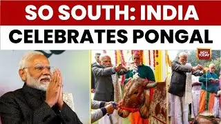 So South: PM Modi Hails Tamil Culture At Pongal Event | DMK MP Dayanidhi Maran's 'North vs South'