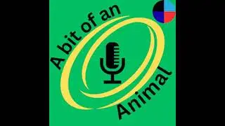 Against All Odds - France Vs Springboks Review