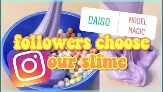 Instagram Followers Choose Our Slime