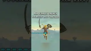 2 things you need to try in TotK! (Portable Skyview Tower and Ragdoll enemies permanently Glitch)