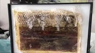 Atelier Walks: Suzanne C. Nagy // SUSTAINABILITY: 3D LIGHTBOXES