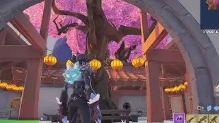 *NEW* Fortnite Highwire Skin Set Review!!!