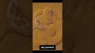 wait for it 🤯 || #snake #skills #tricks #aura #sigma #edit