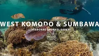 West Komodo & Sumbawa Snorkel Safari with Naga Biru Liveaboard