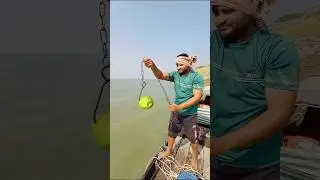 World Record Technique for Catching Giant Fish in Deep Water #shorts #fishing #deepseafishing #fish