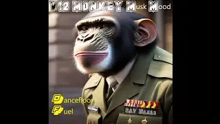 V12 MONKEY Musk Mood - ( Ray Maars ) #Techno #IndustrialMusic #DanceFloor