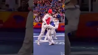 #212 perfect knock-out kick || #tkd #mma #shorts #status #subscribe #worldtaekwondo #ko #kick #knock