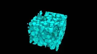A journey to the origins of multicellular life: Long-term experimental evolution in the lab