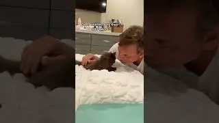 Dad after saying no cats in home🥹🥹#cat #cats #fyp #foryou #foryoupage #funny #funnycats