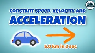 What Is Constant Speed, Velocity And Acceleration? | Animation Video | IGCSE/GCE O Level | Physics