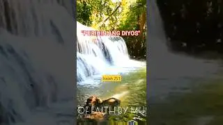Purihin Ang Diyos - Tagalog audio bible #shorts #audio #bibleverse