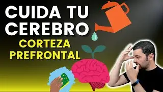 CUIDA TU CEREBRO (PARTE 2): CORTEZA PREFRONTAL │ C&oacute;mo superar problemas de d&eacute;ficit de atenci&oacute;n (TDA)