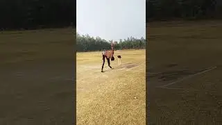 fire on the pitch 🔥 #cricket #song #song #cricketlover #ipl #flip #cricketshorts #cricket #cricketer