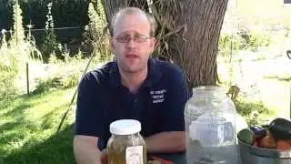 Fall Garlic Planting, Expansion Ideas and More - The Wisconsin Vegetable Gardener