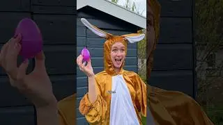 Waar haalt de paashaas zijn eieren vandaan?😳