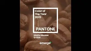 2025 Color of the Year