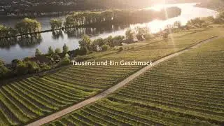 Weingut Mohr 