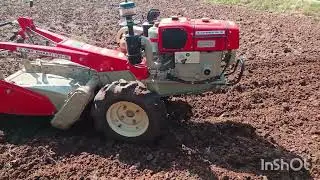 Agriculture video #💪 ನಮ್ಮ ಅಡಿಕೆ ತೋಟದ ವಿಡಿಯೋ 