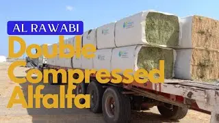 Al Rawabi Double Compressed Hay