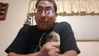 Pixie Willows contest winnings unboxing