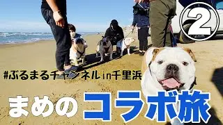 【神回】夢じゃなかろうか…千里浜にキセキのぶる‘ズが大集合‼️