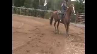 Equinunk PA APRA rodeo -