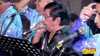POR ESE AMOR ME ESTOY ACABANDO..CHACAL Y SUS ESTRELLAS - FELIZ 54 ANIVERSARIO ALFONSO ESCALANTE 2022