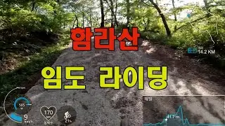함라산 임도라이딩 CANYON Exceed CFR Team