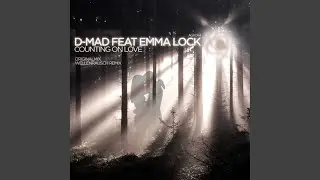 Counting On Love (Wellenrausch Remix)