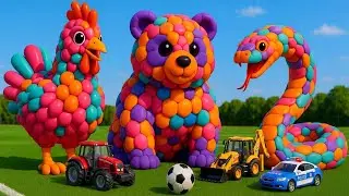 The mascot vibrato assistant Cat placed on the football field is popular, co-produced,and creative