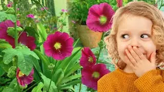 Learning Videos for Kids! ||unknown flowers name||