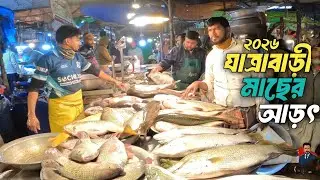 যাত্রাবাড়ী মাছের আড়ৎ  নতুন বছরে মাছ কিনতে গিয়েছিলাম ২০২৬।।   Jatrabari  fish market 2026