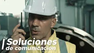 Terra Security Servicios de Seguridad Integral 07051 1