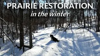 North Prairie Restoration in the Winter