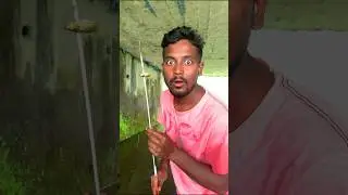 desi style fishing 🐠😱 #minivlog #vlog #vlogging #shorts #fish #vlogger #fishing
