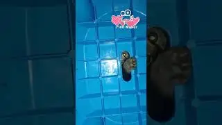 Cat Vs A Small Hole