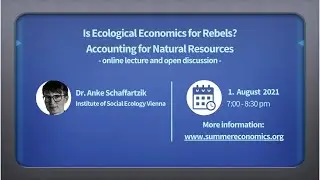 Is ecological economics for rebels? Accounting for natural resources
