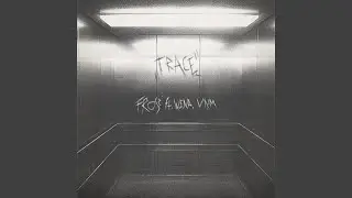 Trace