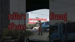 น้องหมีอารมณ์ดีเต้นอยู่ข้างทาง