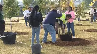 14th Annual Mayor&rsquo;s Tree Planting Day returned to Huntsville at Brahan Spring Park