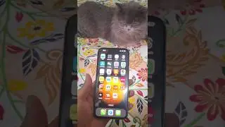 IOS 18.6.2 glitch in 15 pro max #shorts