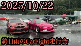 【CatFight  in南千葉】今更な動画🤣🤣