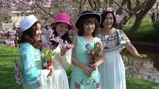 2021 Keukenhof Compilatie Beelden