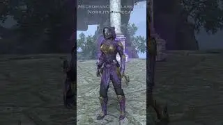 ESO ENDLESS ARCHIVE - the Class Sets **GLOW**  #eso #endlessarchive #shorts   | Tamriel_Tidbits