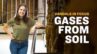 Addressing Climate Change | Vandals In Focus