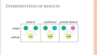 precipitation reaction lab 7