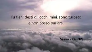Shalom di Cuore con Biagio Narducci - 20 Gennaio