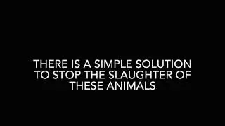 Stop Rhino Poaching PSA