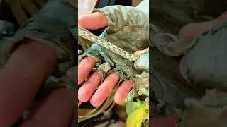 Finishing the braid on a rawhide Reata or Riata #diy #leatherwork #leathercraft