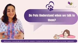 Do pets understand when we talk to them from a #Pet Psychic#animal #dog#doglover#petsofinstagram
